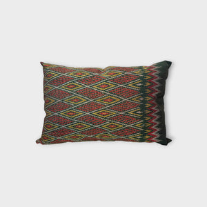 Ikat throw pillow, India